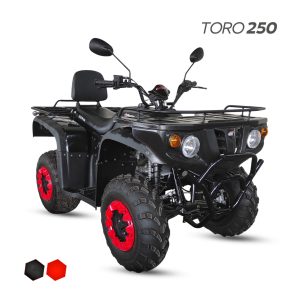 ATV - Serna Toro 250